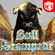 Bullfighting